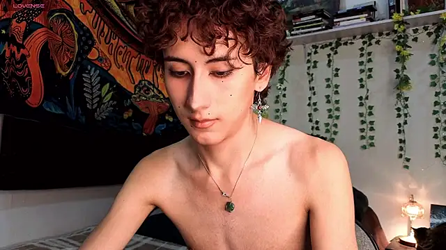 noynxz online show from 24, 3, 2026