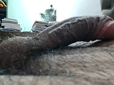 DB boy online show from 21, 3, 2026