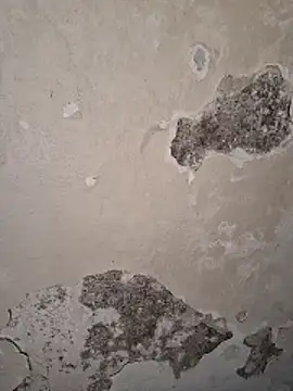 Ayush281999 online show from 30, 3, 2026