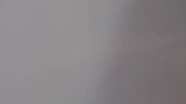 adara cute 69 online show from 5, 2, 2026