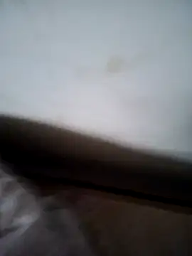 deshilnd online show from 10, 2, 2026