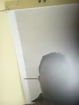 deshilnd online show from 2, 4, 2026