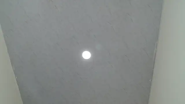 kendal1  online show from 5, 4, 2026