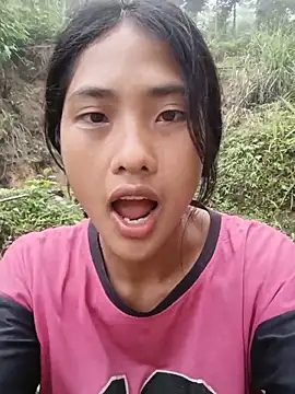 Hoa-tuylip online show from 22, 5, 2026