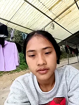 Hoa-tuylip online show from 9, 3, 2026