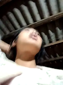 Hoa-tuylip online show from 11, 3, 2026