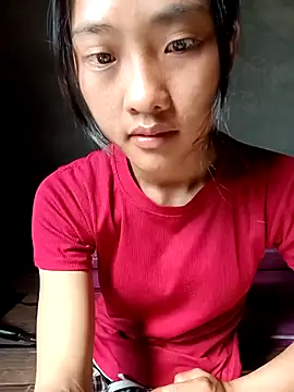 Hoa-tuylip online show from 13, 4, 2026