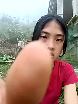 Hoa-tuylip online show from 21, 3, 2026