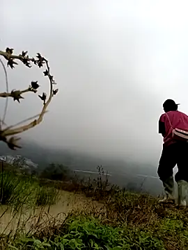 Hoa-tuylip online show from 24, 2, 2026