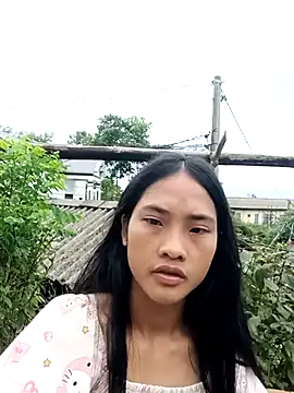 Hoa-tuylip online show from 29, 7, 2026