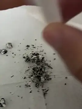 Snapshot of dickdondra chatting on 2, 2, 2026 dickdondra online show from 2, 2, 2026