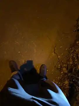 FrankdieSchwuchtel online show from 28, 2, 2026