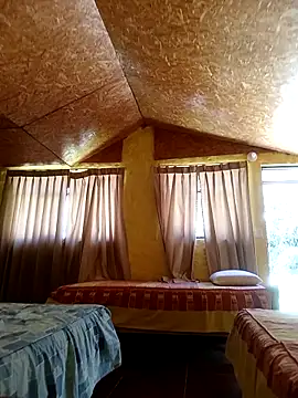 serranoandre online show from 3, 3, 2026