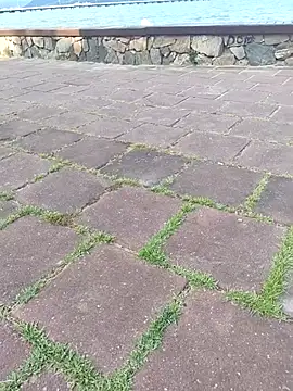 Gustavo52367 online show from 20, 2, 2026