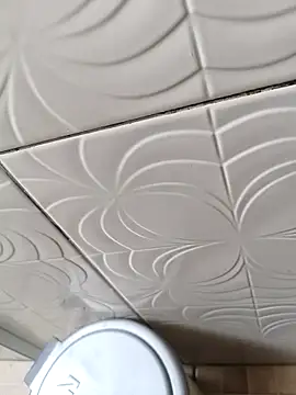 Gustavo52367 online show from 6, 3, 2026