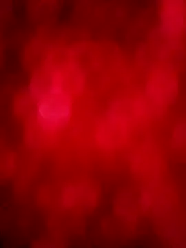 negrim10 online show from 12, 2, 2026