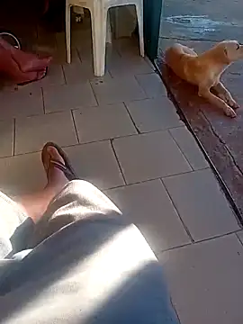 negrim10 online show from 18, 4, 2026