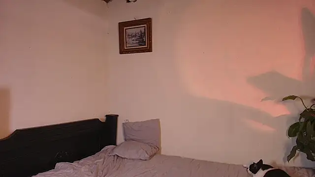 slowburnmystic online show from 25, 5, 2026