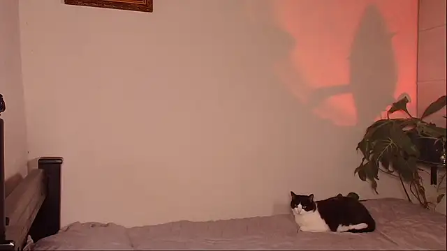 slowburnmystic online show from 29, 3, 2026