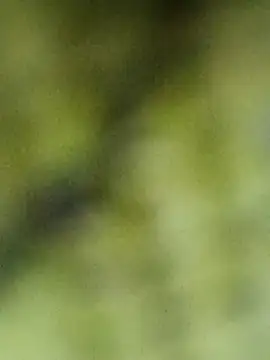 Babli sharma online show from 2, 4, 2026