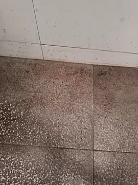 GTX-8194 online show from 22, 2, 2026