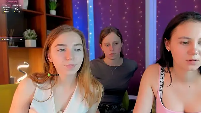 stella flower online show from 7, 2, 2026