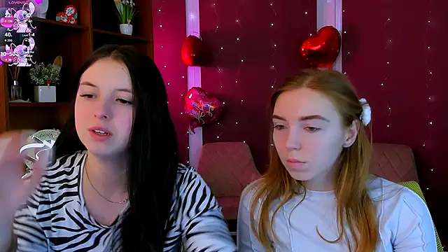 stella flower online show from 10, 2, 2026