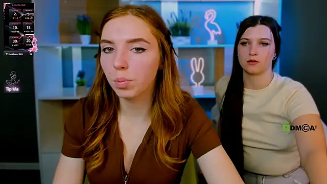 stella flower online show from 27, 3, 2026