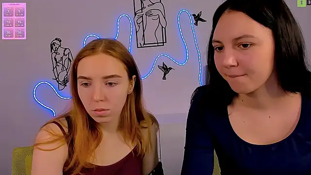 stella flower online show from 5, 2, 2026