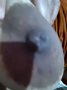 Ava89 online show from 14, 3, 2026