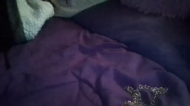 Paradice7 online show from 1, 2, 2026