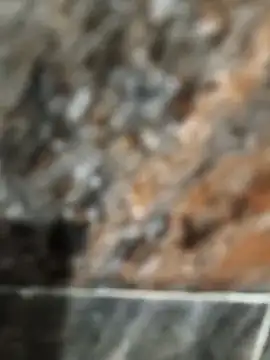 Bengal Tiger420 online show from 17, 4, 2026