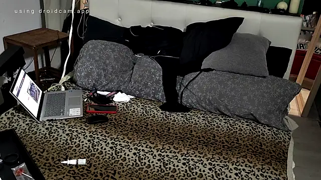 MarcoRoma313 online show from 5, 3, 2026