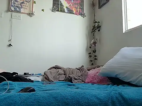 venus midnight online show from 12, 2, 2026