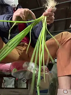 YANINA120 online show from 3, 2, 2026