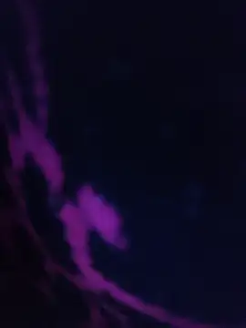 LustyDanky online show from 22, 3, 2026