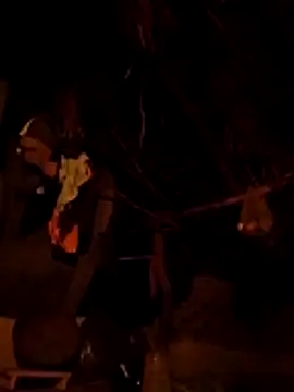 Dipti hote online show from 12, 4, 2026