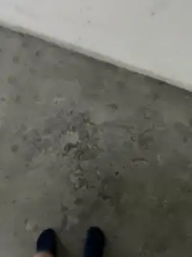 Wvpppp online show from 24, 2, 2026