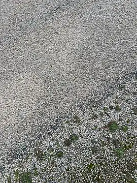 magicdickx21 online show from 20, 2, 2026