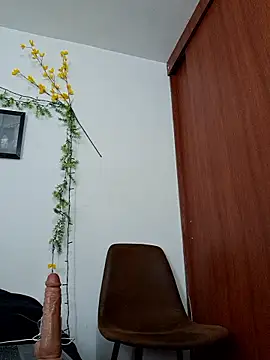 Luis prince  online show from 3, 2, 2026