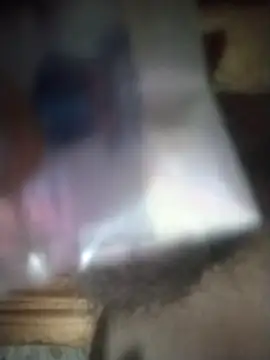 degeneradicto online show from 9, 2, 2026