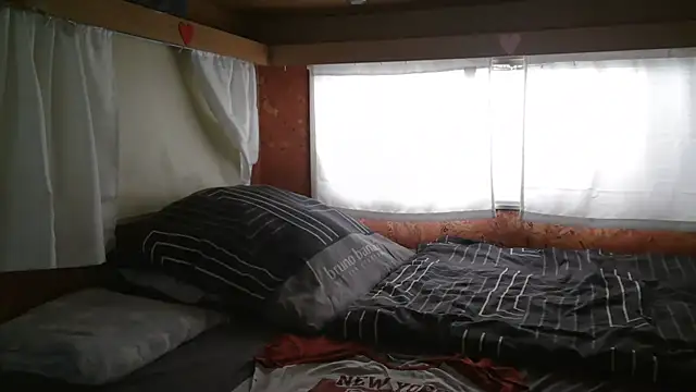 Sylly online show from 12, 1, 2026