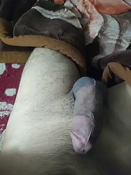 amirMohamed58 online show from 9, 3, 2026