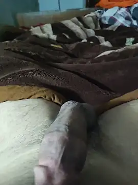 amirMohamed58 online show from 16, 3, 2026