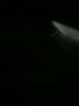 Jordan Blanco online show from 30, 3, 2026