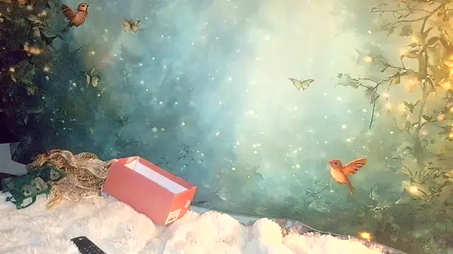 Blondie the librarian online show from 21, 4, 2026