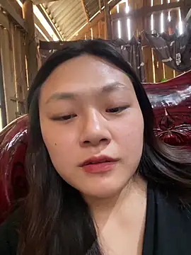 bikhidj online show from 11, 4, 2026