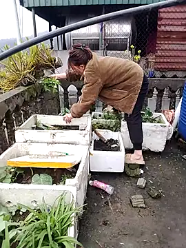 Queen-love45 online show from 4, 2, 2026