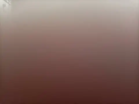 sensualstryp online show from 28, 2, 2026