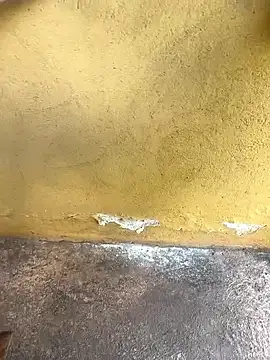 Jmlbsuchi online show from 17, 2, 2026